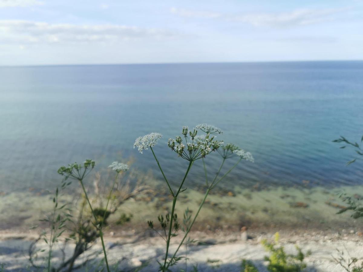 Nordic Bo -Wellen Wald Und Wilde Kueste- Strandnahe Doppelhaushaelfte Mit Waldterrasse Surendorf ภายนอก รูปภาพ