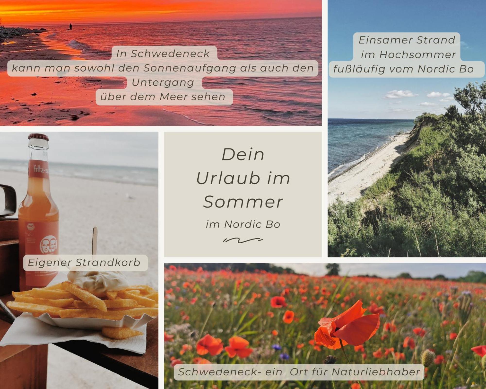 Nordic Bo -Wellen Wald Und Wilde Kueste- Strandnahe Doppelhaushaelfte Mit Waldterrasse Surendorf ภายนอก รูปภาพ